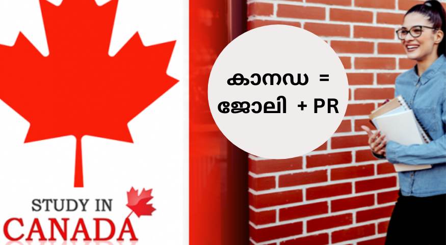 Canada Education Consultants in Kochi Kerala (Free & Paid Study Abroad Services)