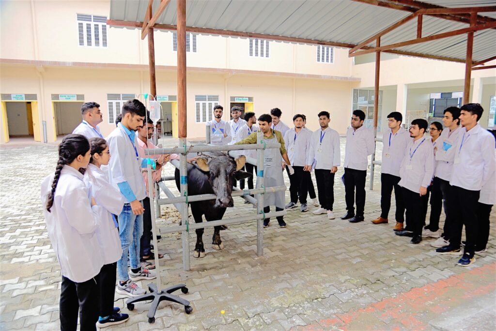Veterinary Colleges in Kerala Government & Private