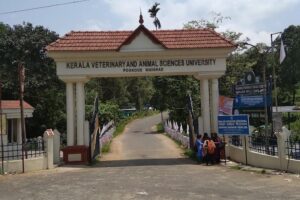 Veterinary Colleges in Kerala wayanad